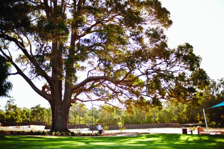 Master Plan Land Releases Rapids Landing